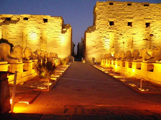 例えるならば、ＮＨＫドキュメンタリーが、<br />野外で行われているかんじ？<br /><br />効果音もバッチリついてました。