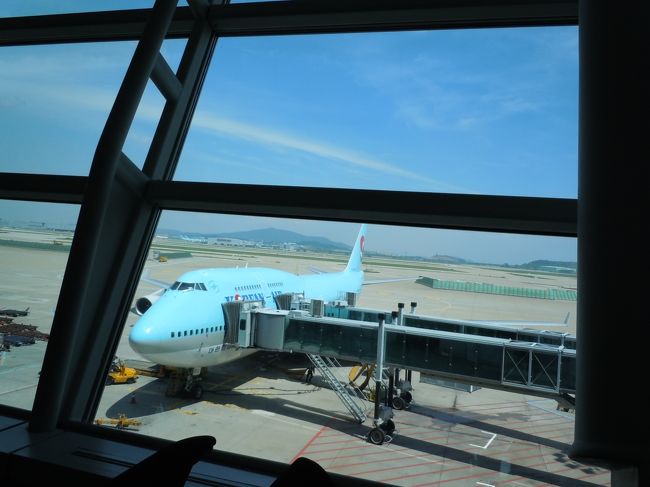 パリへは、大韓航空で向かいます。<br />大韓航空でよかった所<br />①食事<br />　パリー韓国　機内食はビビンバです。<br />　行きも帰りビビンバがでましたが、具材は違います。熱いわかめスープも　ついて、美味！<br />　　<br />②韓国の空港でのショッピング<br />　成田の免税品の価格をチェックし、韓国をみて、パリのを見た結果、韓国　は驚くほどの安さです。<br />　化粧品は、韓国の空港で購入です。<br />　<br />＊バッグは、韓国よりパリの方がお買い得でした。