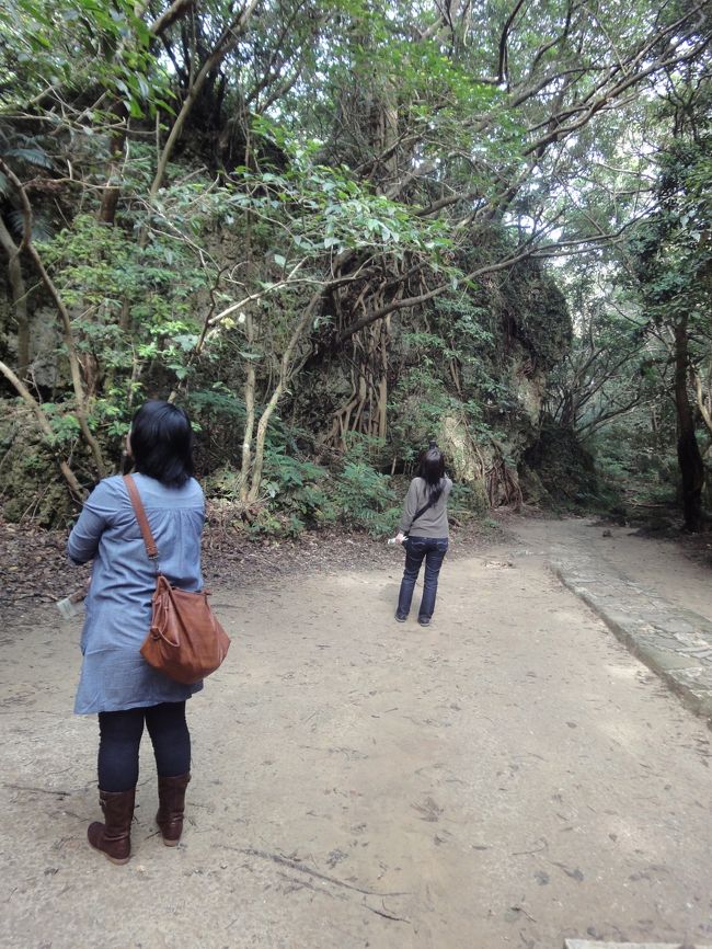 空気が違います。木々の空気、パワーをもらおう。