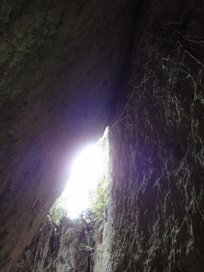 パワーを感じます。