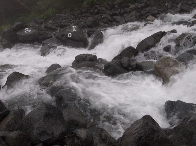 南沢・・・<br />やっぱり増えてる・・・
