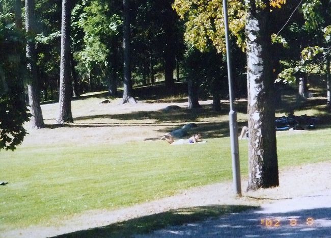 ヘルシンキの街並み、シベリウス公園。