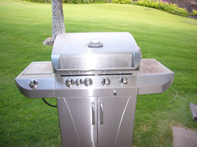 これはテラスに設置されているバーベキューコンロ。<br />結局最後の日まで使うことはなかったが。。<br /><br />家族で別荘の庭でバーベキュー。<br />オーナーさんは画に描いたようなアメリカンファミリーですなｗ