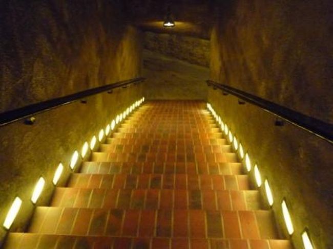 ブドウについてビデオでお勉強。<br />モエ・エ・シャンドン社のシャンパンは、３つの畑で出来たブドウから作られているんだって。<br />①グランクリュ②プルミエクリュ③トラディショナルクリュ<br />グランクリュが最上級のブドウを産出する畑なんだって。<br /><br />早速、セラーに潜入！超わくわくっ！！