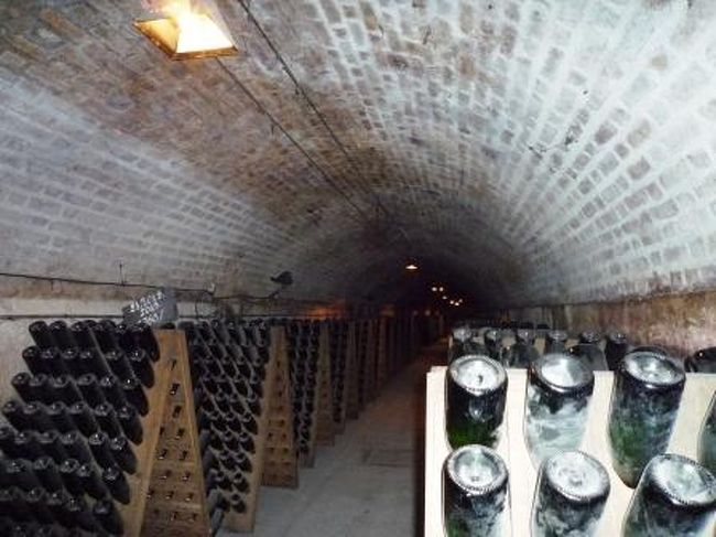 この瓶回し、熟練の技が必要らしい。<br />最近は、回す機械を発明したらしいけど…地道な作業。<br />この作業がおいしいシャンパンを作り出すんだね。