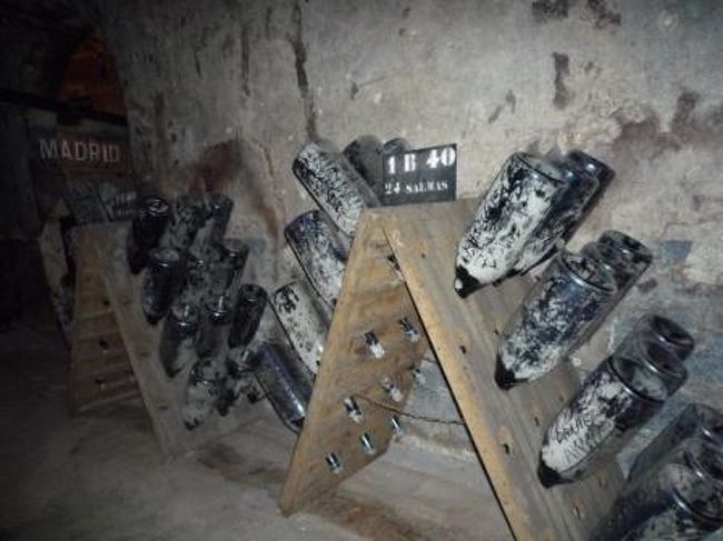 わかる、わかる、英語の説明聞かなくたって（笑）<br />澱を溜めてるんだよねー！