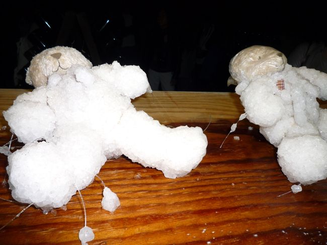 でも、、、この芸術は全く理解不能…（涙）<br />何で塩漬けなのっ！？？？