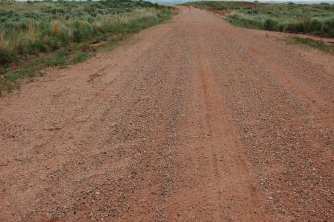 今日初めて地道を長く走りました。ｴﾝﾃﾞｰの手前からｻﾝｼﾞｮﾝの手前まで約22km､路面の状況はでこぼこもなく走りやすい所でした。この付近は乾燥地で牧草が育たない様で、農家の廃墟があり人はいなく牛だけがいました。その牛も痩せていてまさに「廃墟」の面影です。