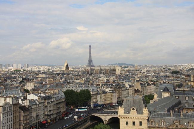 搭の上からはこんな感じでパリ市内を一望に眺めることができます。