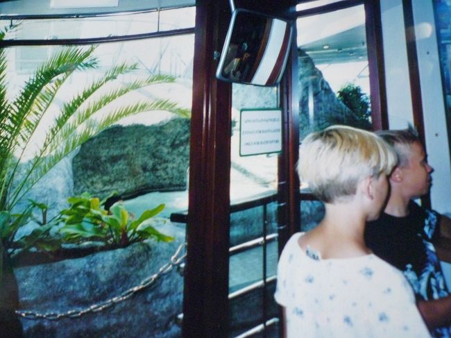 フェリー、家族プール入り口。