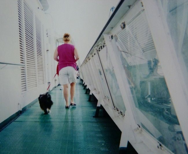 フェリー、ストックホルム湾。ワンちゃんとデッキを散歩。