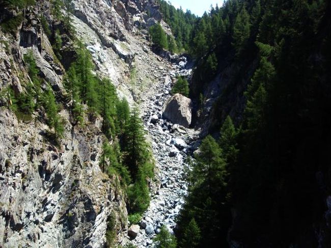 フィンデルンバッハの滝です。<br />枯れているように見えますが、実は水量が多かったです。