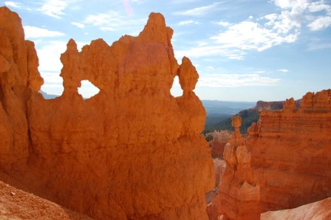ﾄﾚｯｷﾝｸﾞｺｰｽが整備されており下からも確認出来ます。