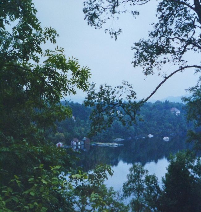 　グリーグの家の横の塩湖。