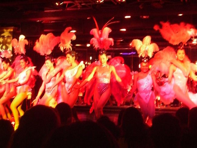 ショーはとても面白かったです！<br />タイを訪れた際は是非オカマショーを見てほしいです。<br />｢タイのオカマはきれい｣という巷の噂は本当でした。<br />筋肉質なのがたまにきず。