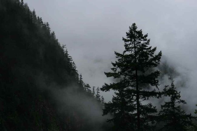 次の湖へ行くバスを待っていると、急に天気が怪しくなってきました。<br />周囲の風景が一気に水墨画の世界へ。<br /><br />その間にも、ガイドさん、知らないうちにバス待ちの行列の先頭に立っていました。<br />バスが来て、ささっと席を確保し、誰か座ろうとすると何やら言っているのです。とても頼りになるガイドさんです。