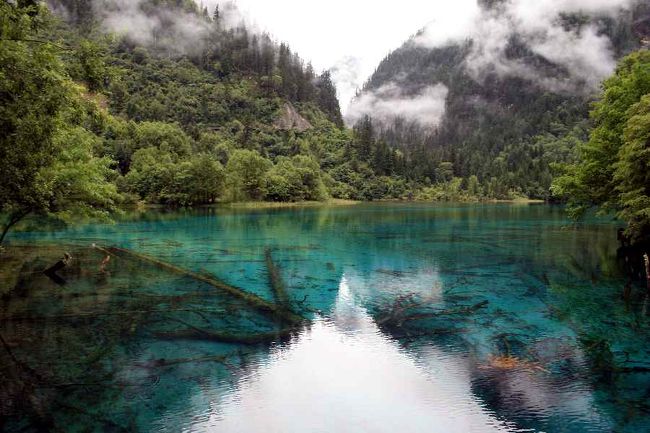 五花海。<br />読んで字のごとく、五種類の花が咲いたようなカラフルな海。ここの水は本当に綺麗な色をしていました。<br />黄龍には魚はおりませんでしたが、九寨溝にはいます。水も飲めるそうです。（さすがに試しはしませんでしたが）<br />ガイドさん、昔は水筒に水をくんで、家に持ち帰り、お茶を入れたりして楽しんだそうです。<br /><br />