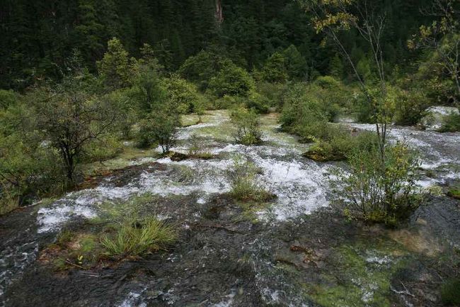 珍珠灘。<br />珍珠とは真珠のことのようです。<br />遊歩道の両側にこのような景色が広がります。<br /><br />太陽が出ていたら、水がキラキラ光って綺麗なんだそうです。<br />「雨女がいるから？」<br />とガイドさんに言われてしまいました。