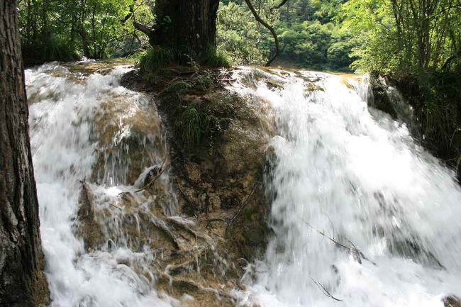 ガイドさんおススメスポットの反対側の風景。<br />水流の上に遊歩道があるような感じです。