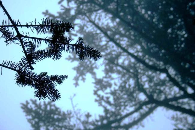 その帰り道。<br />薄暗くなり、徐々に水墨画の世界に…<br /><br />夕飯は近くのレストランで。<br />翌朝も同じところ。<br /><br />中国の代表的な朝ごはんは…<br />ゆで卵、饅頭、おかゆ、ザー菜、腐乳、トウモロコシ、パンケーキなど。