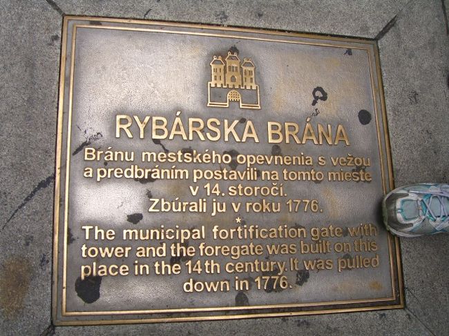 足元には、こーんなものが・・・