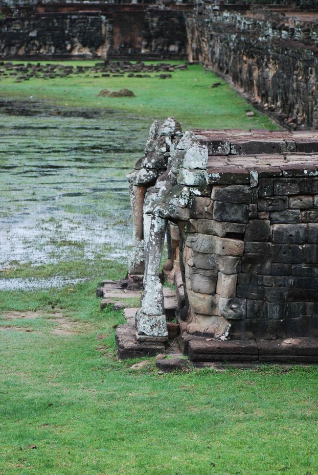 「象のテラス」