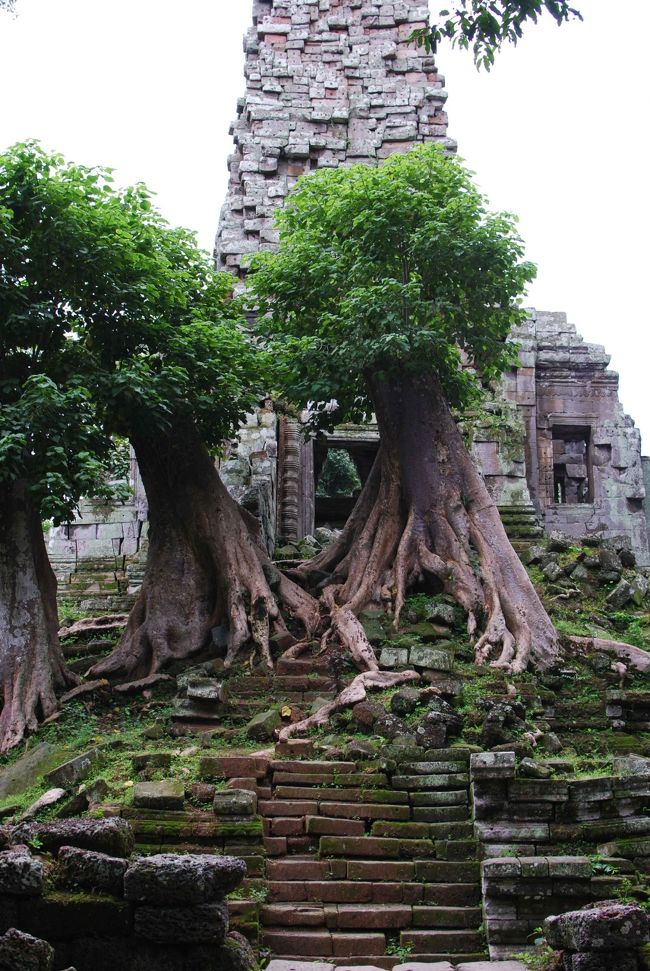 王宮内、「プリア・パリライ」。放置されたままの遺跡。