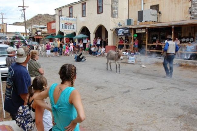 ｵｰﾄﾏﾝ：ここは昔ｺﾞｰﾙﾄﾞﾗｯｼｭで繁栄した所で一時、廃墟の町になっていたのですが、それを売りにしている観光地です。町は長さ100m位でゴールドラッシュ時運搬に活躍したロバが野生化し、町をｳﾛｳﾛしています。私がこの町に着いたのが正午前で丁度運よく、ｶｰﾎﾞｰｲの格好をした二人が決闘のｼｰﾝを面白おかしく演じているのを見ることが出来ました。