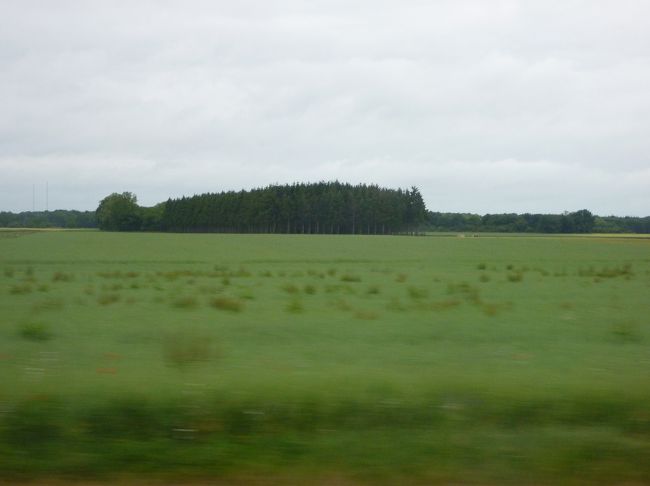 今朝は８：１５集合です。ちと、早いね。けど、夜は寝るだけ、<br />一人だから風呂待ちとかないし、さっさと寝るんで、平気♪<br /><br />ちょっと走るとこの風景。<br />ザ・森です。山は見当たりません。童話にでてくる森が点在<br />しています。<br /><br />何故か「森」に感動☆