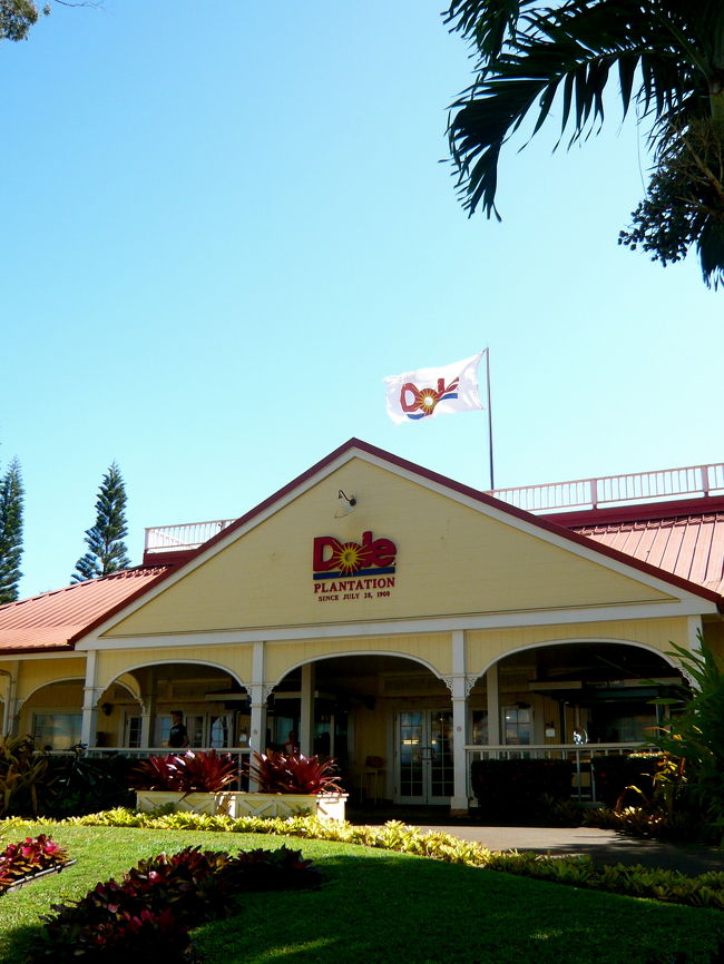 次はドールプランテーションへ。<br />ツアーだからあんまり時間はないけど<br />絶対にパインアイスを食べるのだー！