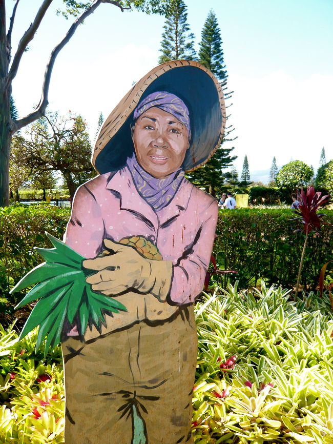 パイナップル畑の中には<br />いきなりおばちゃんの看板。<br />こんにちはー。おじゃましてます！