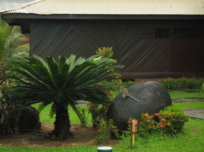 ホテル内に猫かとおもったら猿がいました。