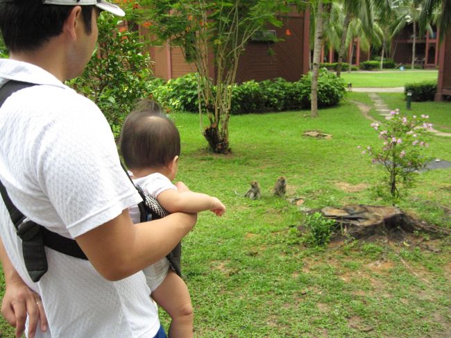 サルの親子を眺める人間の親子。笑<br />