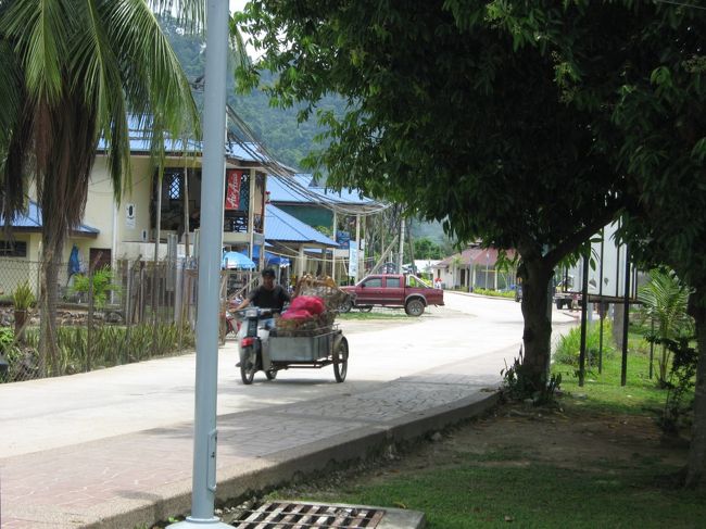 空港近くののどかな風景。