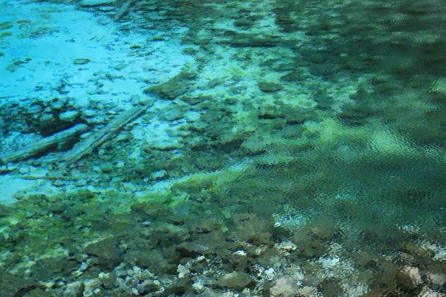 五彩池。<br />九寨溝で一番綺麗な湖と言われているそうです。<br />流木が沈んでいる一番深そうなところはコバルトブルー<br />浅瀬のところはライトグリーン、水色、薄い水色…<br />一つの湖に、いろいろな色があります。<br /><br />霧雨がやみ、雲の合間から薄明かりがさして来ました。<br />風が吹き、水面（みなも）が揺らめいています。<br /><br />