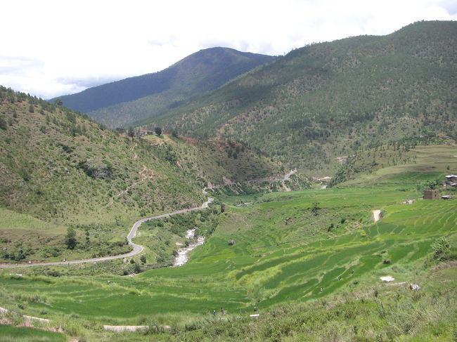 山沿いの道を進んでいきます。この道は、いちおう国道です。