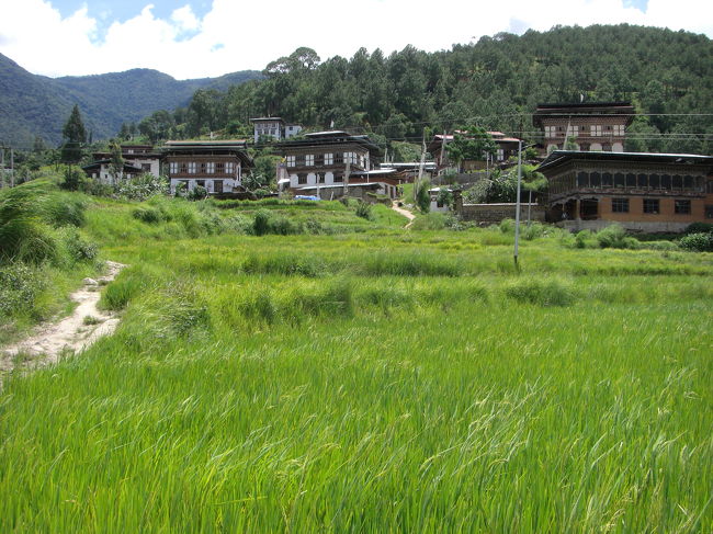 寺院に向かって、田んぼのあぜ道を進みます。