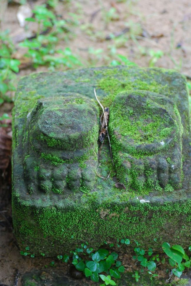 この足の主はいずこへ・・・