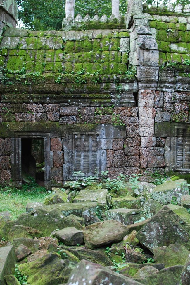 周りは他に誰もいない、数多くの鳥のさえずり以外は、静寂のみ・・・