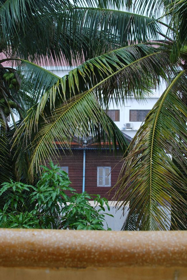 ＧＨに戻ったとたん、土砂降りの雨となりました。