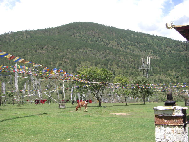 寺院の前には、のどかな風景が広がっています。