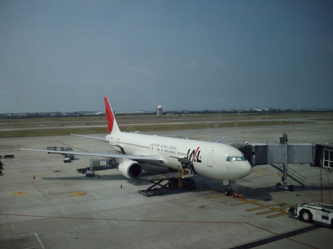 ＪＬ８０６便定刻の予定です<br /><br />私はＪＡＬマイレージ会員なので今回もマイルが溜まりますが<br /><br />この先ＪＡＬどうなりますか？