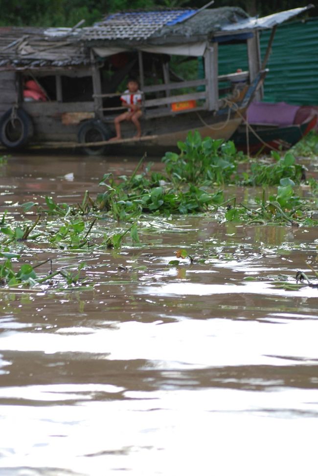 雨期のため、さすがに、豊かな水量です。