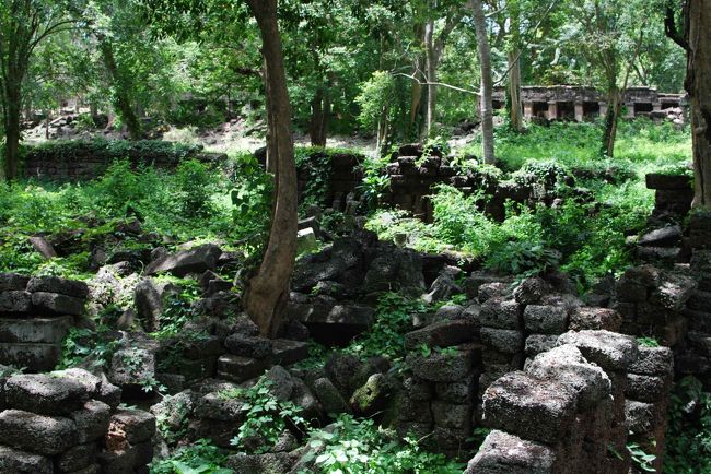 足の踏み場もない崩壊した遺跡の中を、蚊の大群と闘いながら進みます。