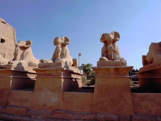 参道には羊の頭をしたスフィンクスが整然と並んでます。