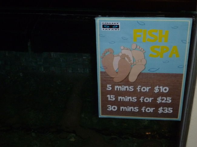 FISH SPAをやっていました