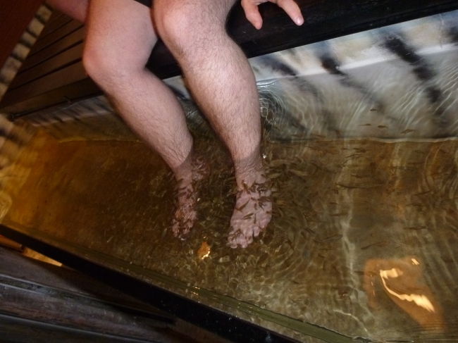 水槽内はこんな感じで、魚たちがうじょうじょ寄ってきて足の汚れを食べてくれるようです。<br />ちなみに、水槽に足をつける前に別の洗い場で足を洗わされます。