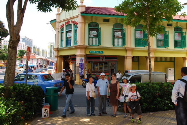 つぎにいったのはリトルインディア。<br />MRTだと乗り継ぎが大変なので、アラブストリートから歩きました。<br />たいした距離ではなかったのですが、暑いので大変。<br />これはリトルインディアアーケードですが、トイレは有料10セントでした。<br />入れ墨を勧められました。