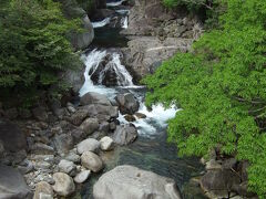 別れを惜しみつつ出発。
次の目的地は大川の滝。(大川＝オオコ)


橋から下を見てみた写真。
屋久島にはこんな川が本当にいっぱいです。