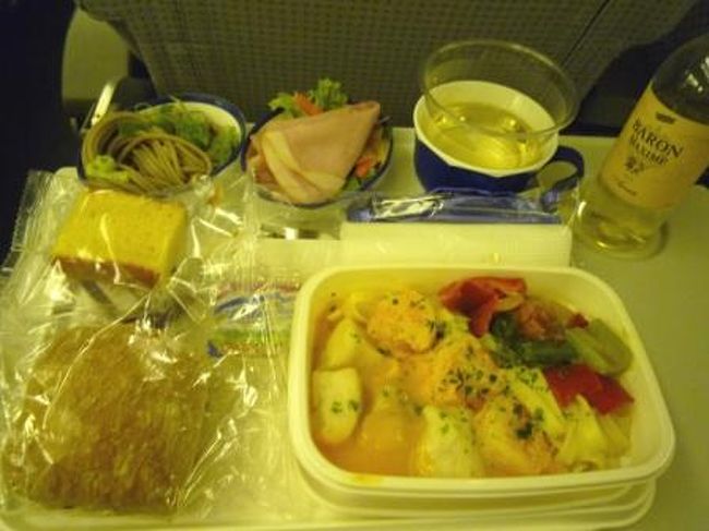 さすがにＡＭＳ線は、日本人率多いね。。<br />ＪＬの機体を見ただけで、何だかホッとしちゃった…<br />そんな私も生粋の日本人です（笑）<br /><br />バタバタと離陸。<br />約１１時間半の空の旅スタート！<br />帰りももちろんお決まりの全員通路側（笑）<br /><br />しばらくすると機内食①<br />パスタにお蕎麦にパンにパウンドケーキ。。。<br />恐るべし炭水化物尽くし！<br />機内食っていつもこんなだよね…<br />